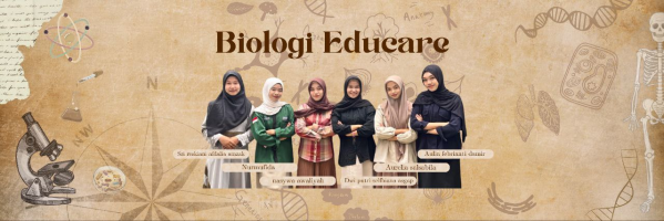 KELAS XI SISTEM PEREDARAN DARAH